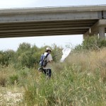 Libélulas, aves y murciélagos en Moreras