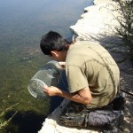 Continúa el estudio de la fauna en el Humedal de Las Moreras