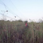 Actividades en San Pedro del Pinatar