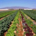 Actividades formativas y divulgativas para agricultores en Cartagena