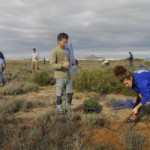 ANSE planta 200 árboles en peligro de extinción