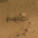 Capturas de Cangrejos Exóticos en la Rambla de Canteras