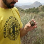 Colaboración en un estudio sobre la tortuga mora