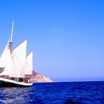 ANSE dirige una carta al embajador de Dinamarca pidiendo la liberación de los activistas de Greenpeace