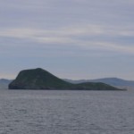 Voluntarios de ANSE estudian la migración de las aves en Isla Grosa