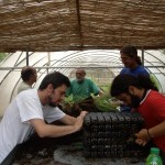 Haciendo crecer la vegetación de ribera