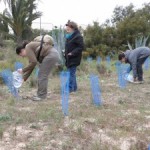 Más actividades en San Pedro del Pinatar