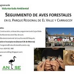 Seguimiento de aves forestales en El Valle