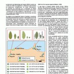 Publicaciones botánicas de ANSE