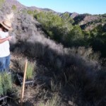 Últimos trabajos de recuperación de aterrazamientos en el Garruchal