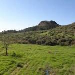Continúan los trabajos de lucha contra la erosión y la desertificación en Malcamino