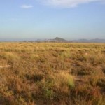 ANSE denuncia la venta de la marina del Carmolí con fines urbanísticos
