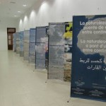 La exposición naturaleza iberoafricana en La Unión