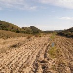 Voluntariado ambiental contra la desertificación