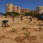 ANSE y el Ayuntamiento de Cartagena restauran los arenales del Monte Blanco (La Manga)