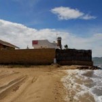 ANSE pide al Gobierno Central que evite la urbanización de las últimas dunas de La Manga