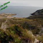 Por la protección de Cala Reona