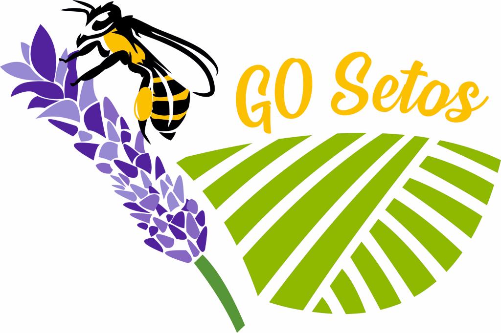 Go Setos
