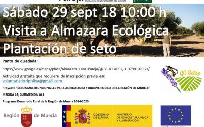 Visita a Almazara Ecológica