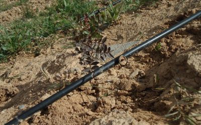 Vuelta a los setos BF AGRICOLA 4G