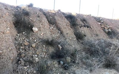 Restauración de taludes en Jumilla
