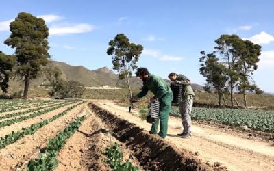 Nota de prensa: Primeros resultados del proyecto