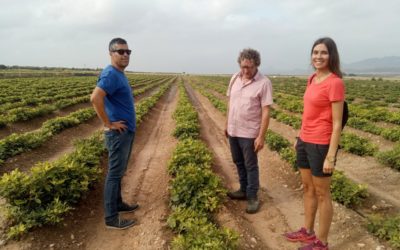 Seguimiento de setos en Jumilla