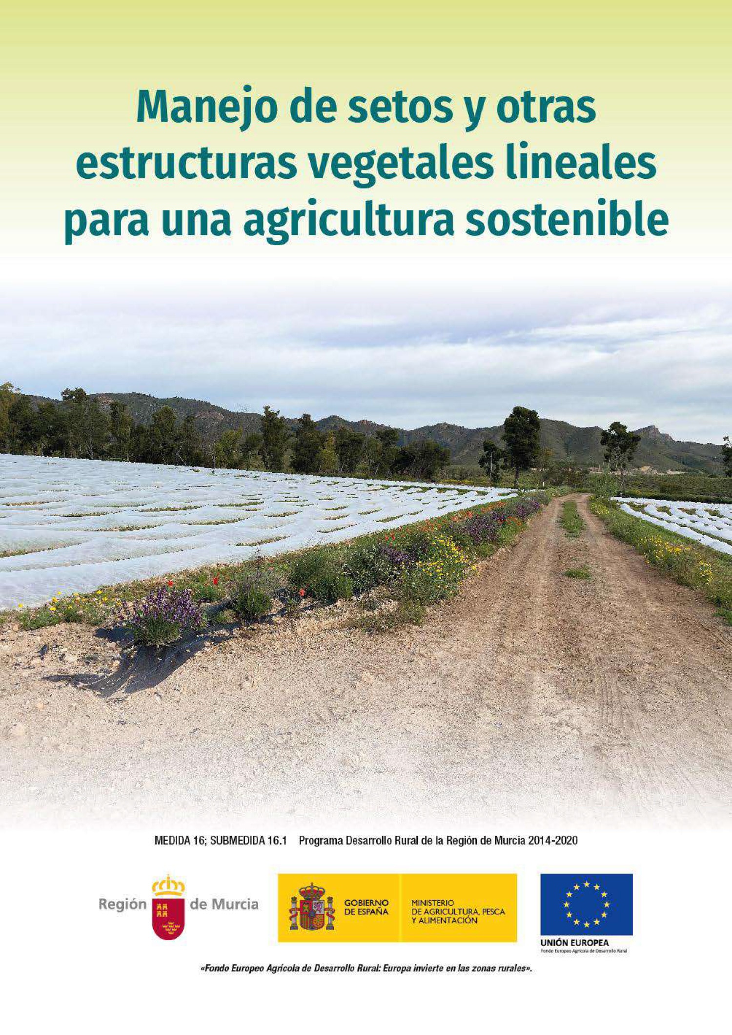 Manejo-de-setos-para-una-agricultura-sostenible-1
