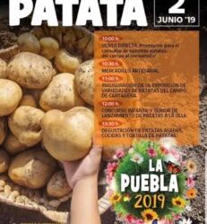 XII día de la Patata