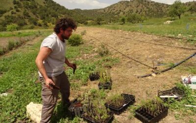 El Grupo Operativo Setos de la Región de Murcia finalista europeo de los «Premios de Inspiración Rural»