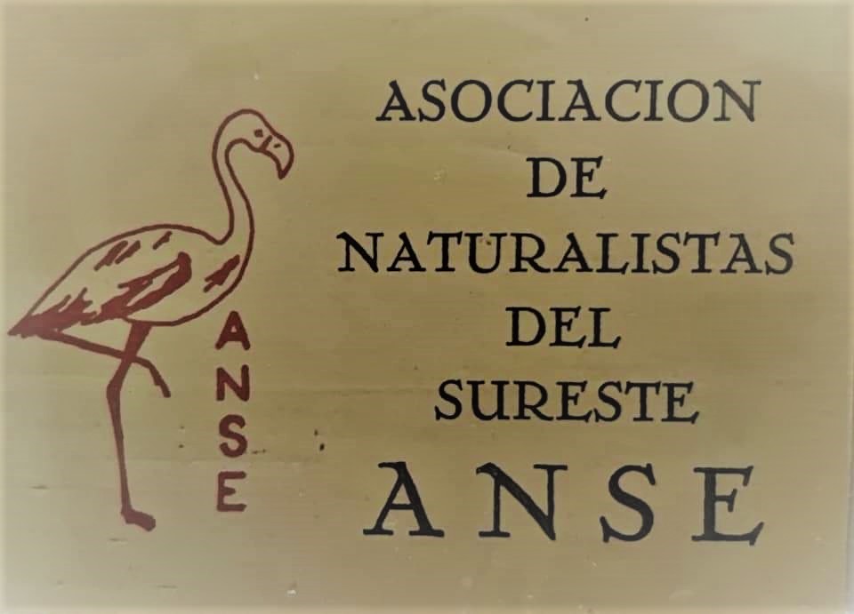 logotivo ANSE 1973