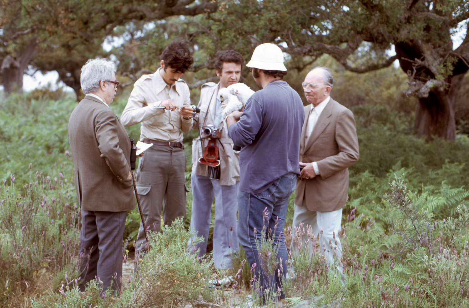 Doñana 1974