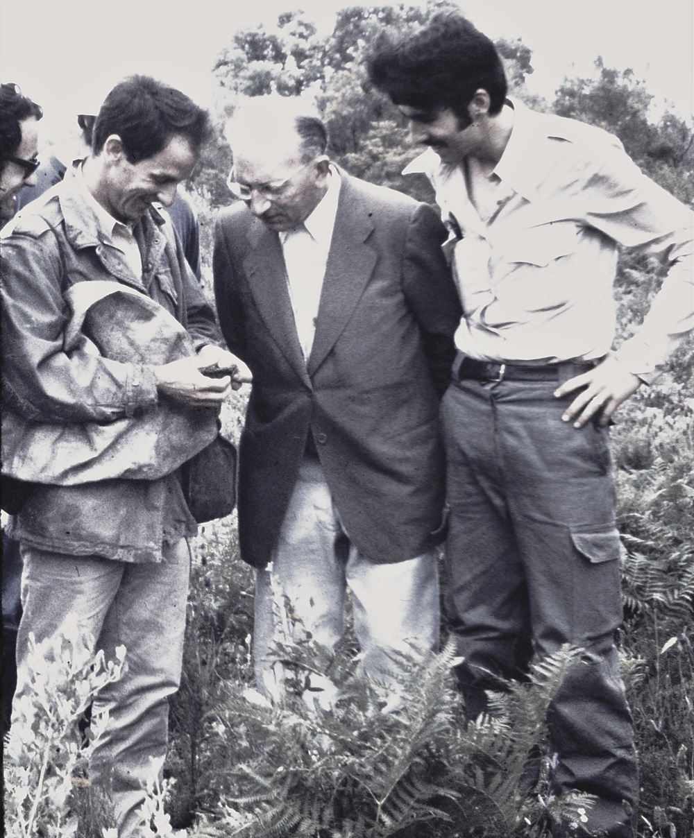 Doñana 1974