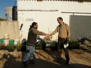 cesión de planta