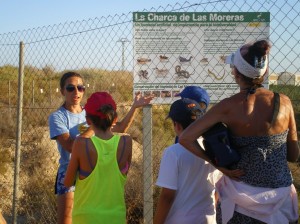 1-HUMEDAL MORERAS 14.8.2013 Red (Copiar)