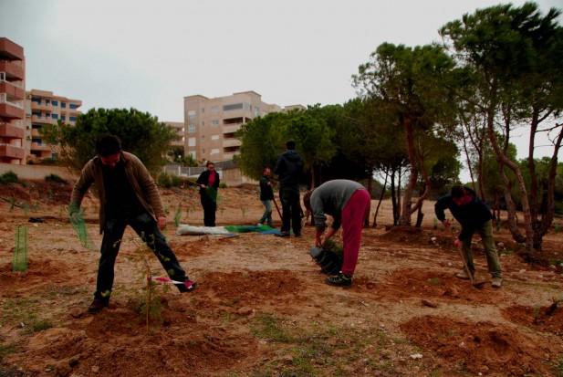 plantacion monte blanco