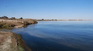 Desembocadura del Albujon