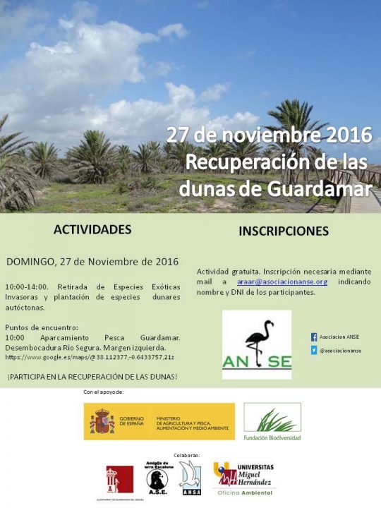 cartel_guardamar_def