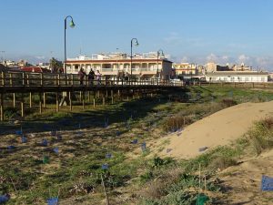 161012_torrevieja-73-copiar