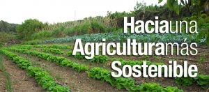 Hacia una agricultura sostenible