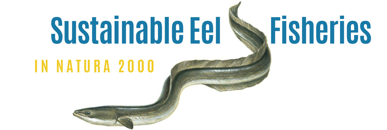 Sustainable Eel Fisheries in Natura 2000