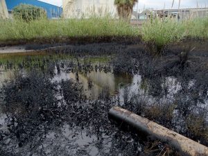 Vertidos Repsol Escombreras