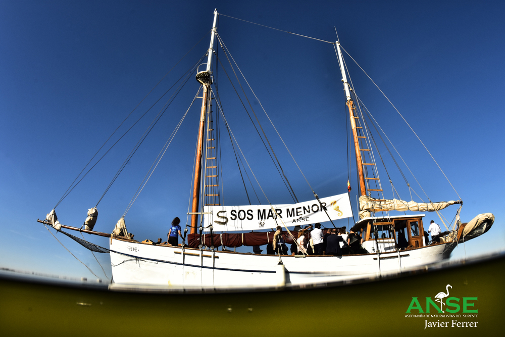 Else SOS Mar Menor