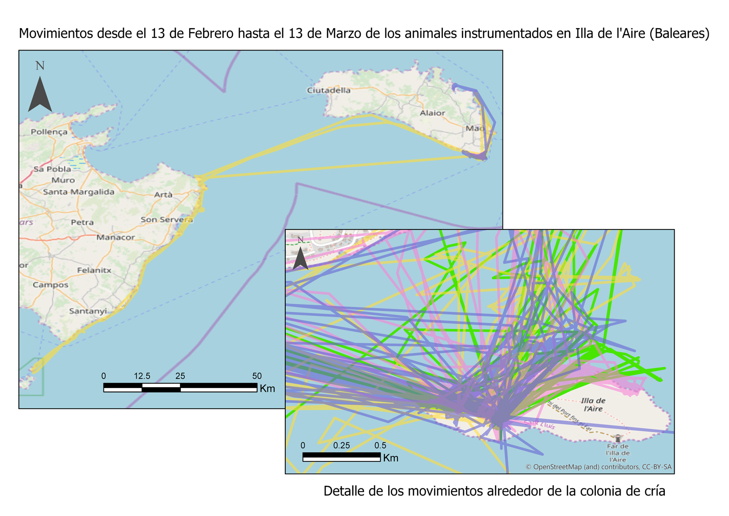 Mapa cormoranes Isla Aire