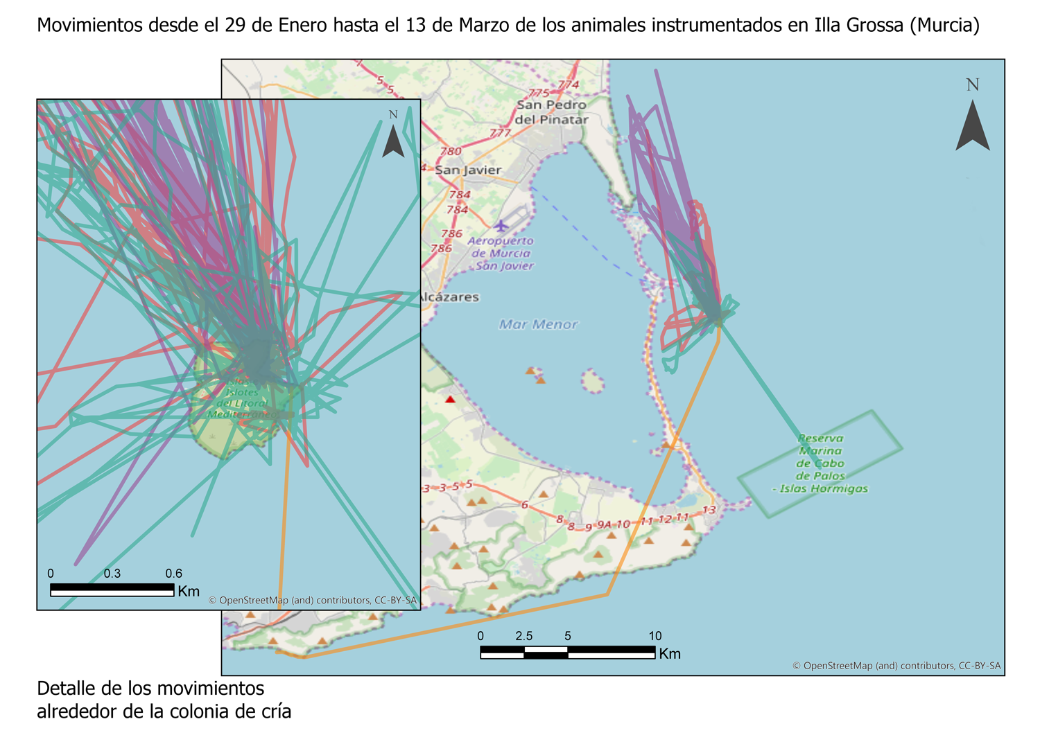 Mapa cormoranes Isla Grossa