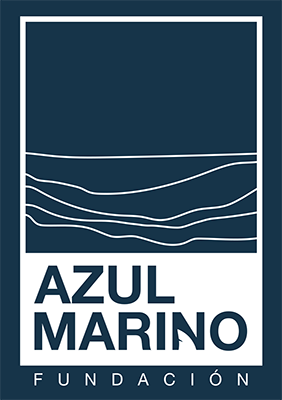 Logo Fundacion Azul Marino