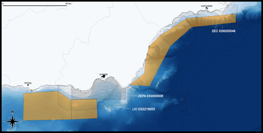 Zona estudio GlobalGoVe