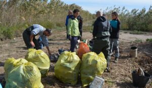 Retirada y caracterización de residuos en la reja de desbaste de entrada de agua a la finca de El Espigar (PN El Hondo)/ ANSE
