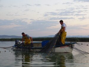 Jornada de extracción de especies exóticas mediante artes de pesca tradicional