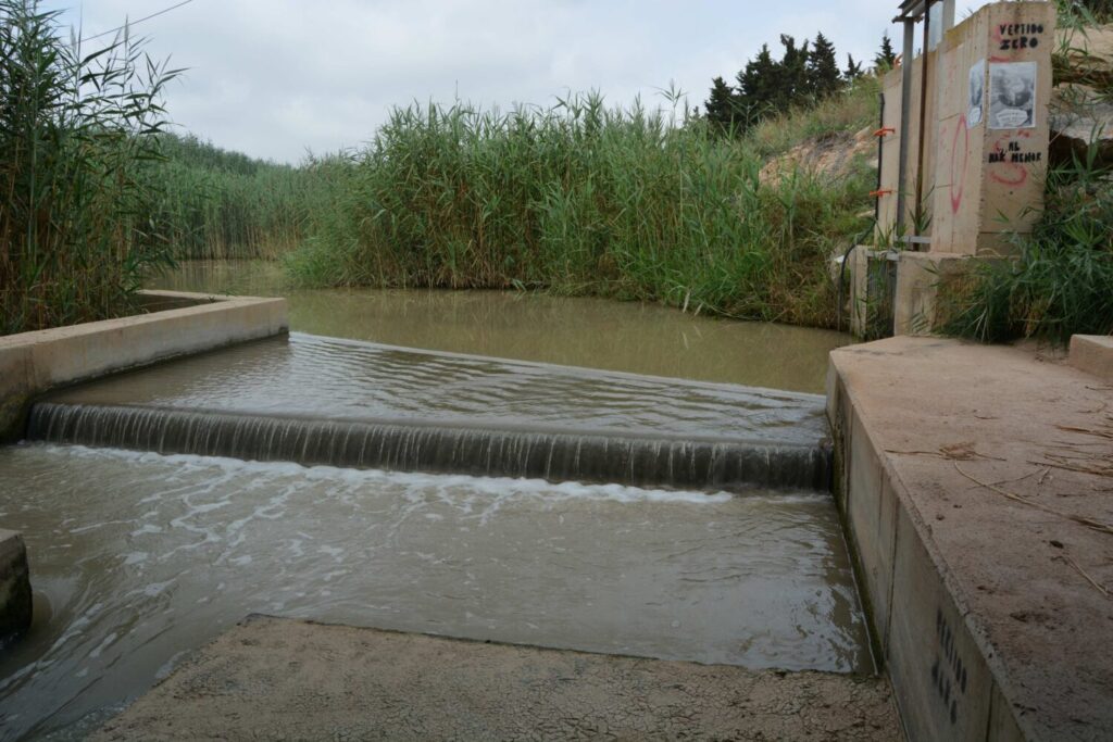 Fotografía realizada el 11 de julio de 2023 que muestra el caudal actual de entrada de aguas de drenaje del Campo de Cartagena, con una elevada concentración de nitratos, a través del cauce de la rambla del Albujón. (P.García/ANSE).